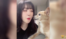 搞笑短视频大全10秒,搞笑短视频大盘点